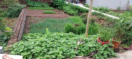 Chính chủ cần bán lô góc đẹp Hoàng Long, Đặng Xá, Gia Lâm, Hà Nội