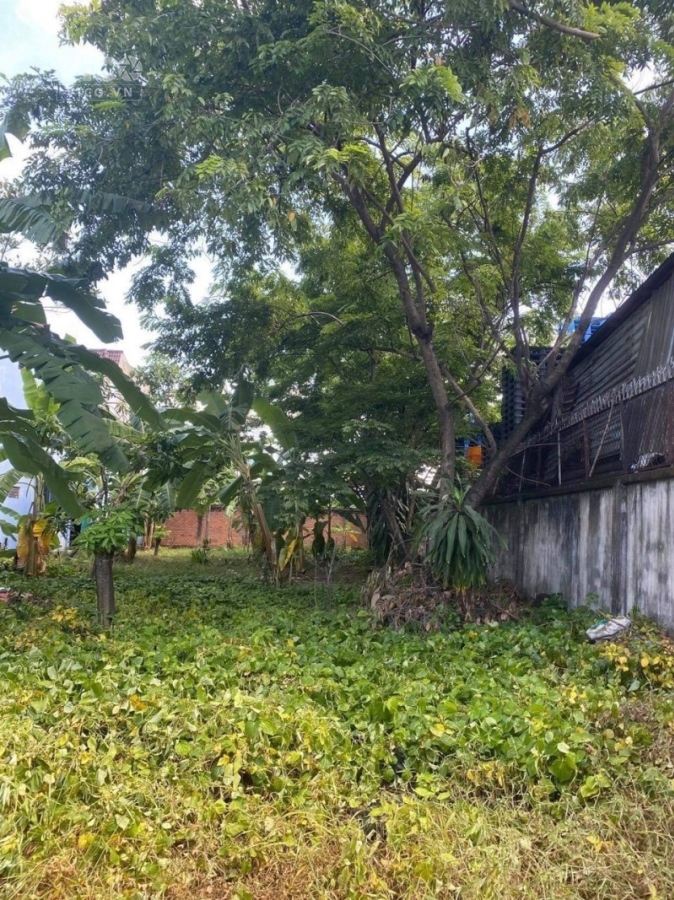 Bán đất ngộp, diện tích khủng, HXH tránh Hiệp Bình Phước, Thủ Đức, 520m2, chỉ 18tỷ600 TL