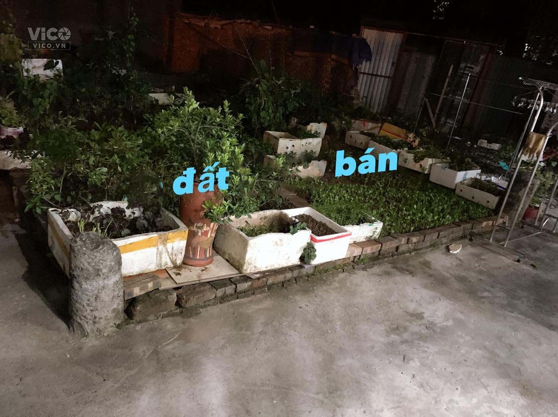 Bán Đất Thúy Lĩnh Lĩnh nam 30.8m giá 1.64 Tỷ