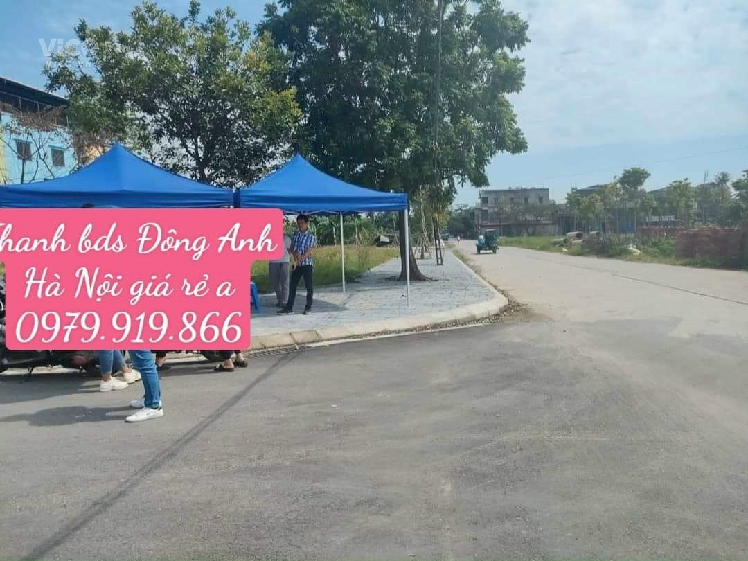 Chính chủ bán lô LK23 và lk25 Giao Tác xã Liên Hà huyện Đông Anh tp Hà Nội Diện tích