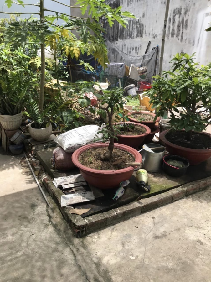 Đất đẹp, nở hậu, Phú Hữu, Tp Thủ Đức giá chỉ 1,6 tỷ