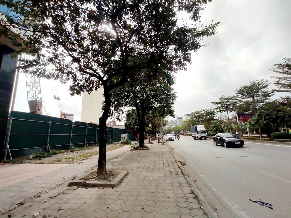 Bán gấp đất Dương Nội, Hà Đông, 100m2, mt8m, gần Lê Trọng Tấn giá 10 tỷ