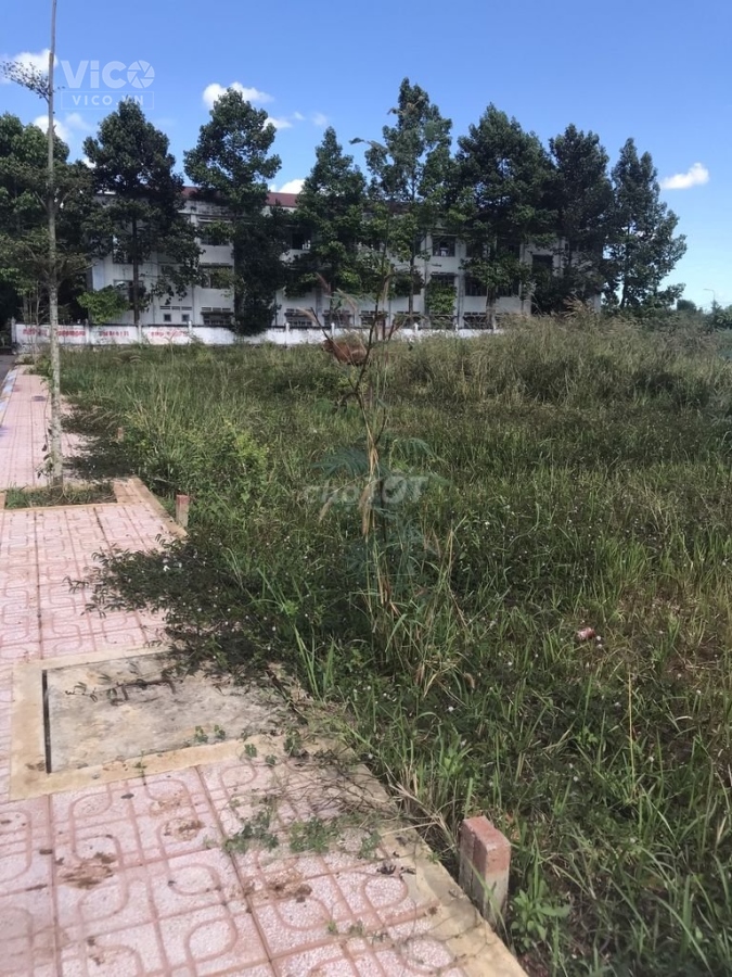Bán đất ngộp sổ hồng riêng tại nhơn trạch đồng nai full thổ cư. Nhỉnh 1 tỷ