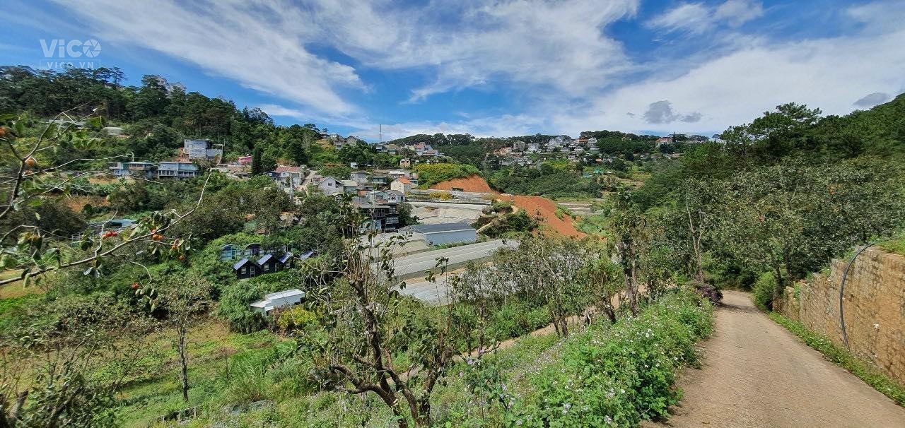 Bán đất Khe Sanh Đà Lạt thích hợp làm cà phê checkin, camping, homestay