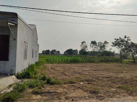 Chính chủ cần bán đất tại Gò Tròn, Cụm 4, Xã Tân Lập, Huyện Đan Phượng