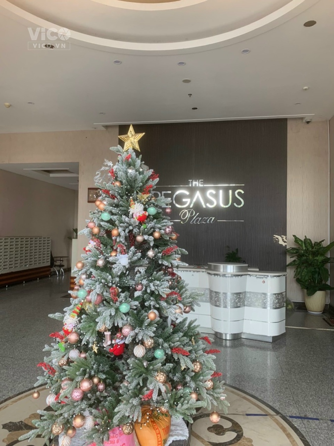 BÁN CĂN HỘ 2 PHÒNG NGỦ PEGA SUS TRUNG TÂM VÕ THỊ SÁU BIÊN HÒA GIÁ NGỘP