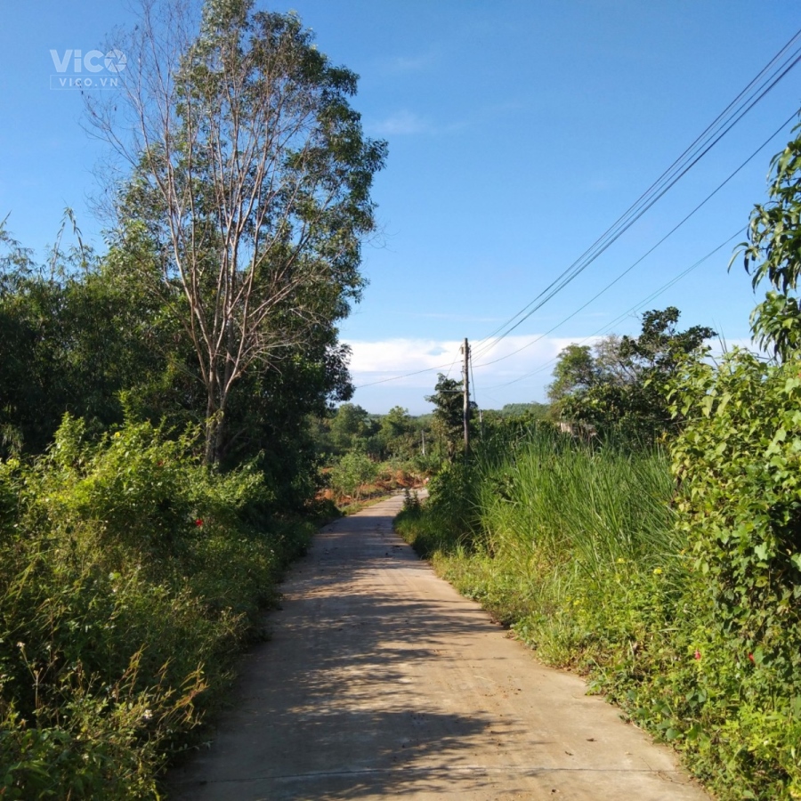 Bán Đất xã Phú Ngọc,Định Quán,Đồng Nai Giáp suối,giáp chợ La Ngà,Giáp UBND xã Phú Ngọc Giá rẻ vô