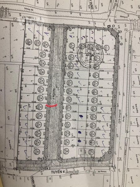 Bán đất đấu giá X2 thôn Bắc Kim Nỗ Đông Anh Trục chính kinh doanh