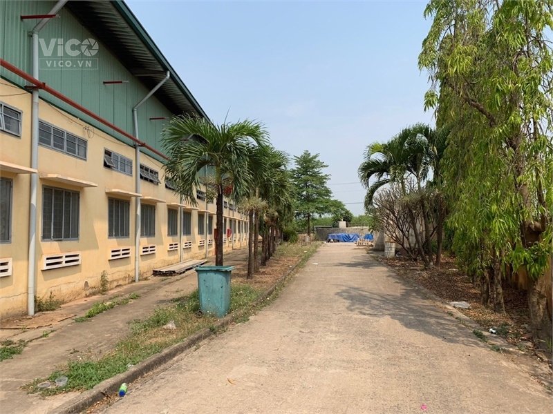 cần bán gấp nhà xưởng, chuyển nhượng toàn bộ dây chuyền, công nhân. hợp đồng. xã tân an