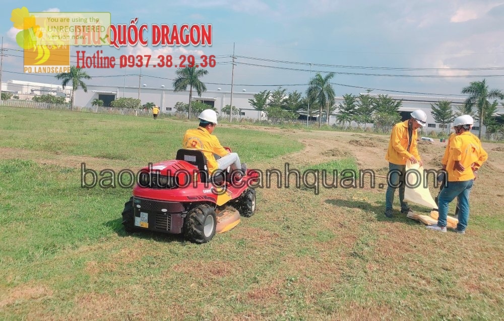 Nhận cắt cỏ, phun thuốc diệt cỏ trọn gói ở Đồng Nai, TpHcm.