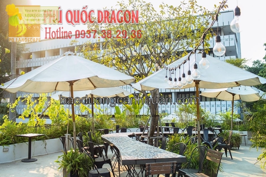 Thiết kế cảnh quan café hiện đại TpHcm, Đồng Nai, BRVT