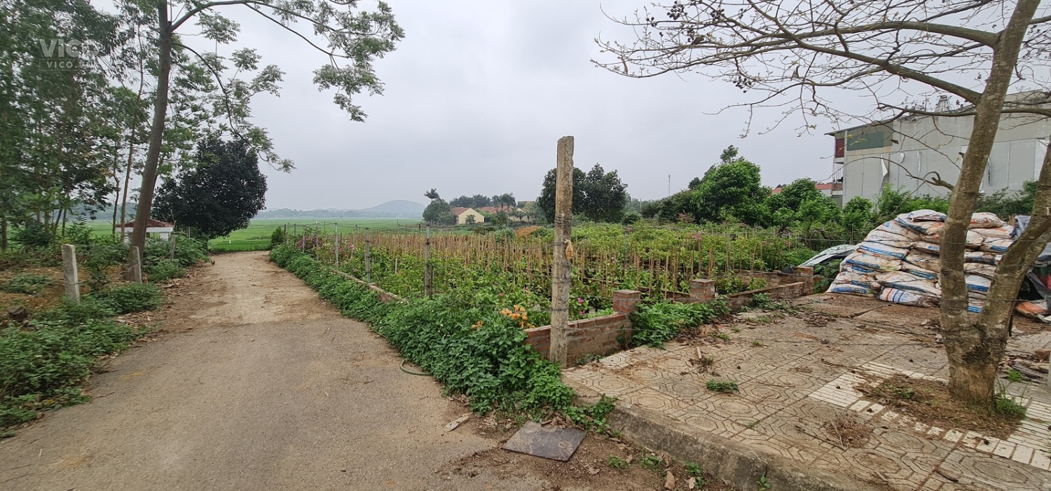 Bán gấp đất thị xã Sơn Tây, Hà Nội Miễn TG