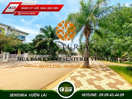 BÁN BIỆT THỰ SENTURIA VƯỜN LÀI Q12 CHÍNH CHỦ SENTURIA AN PHÚ HOTLINE 0909434409