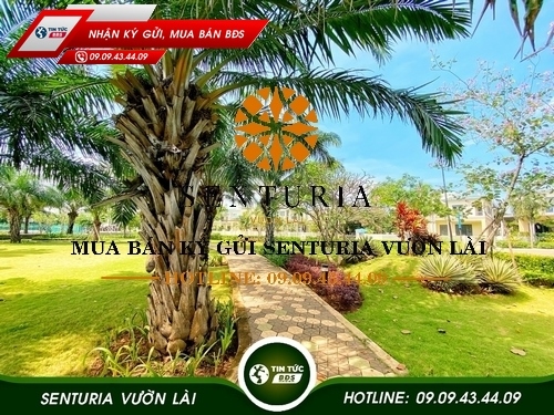 BÁN BIỆT THỰ SENTURIA VƯỜN LÀI Q12 CHÍNH CHỦ SENTURIA AN PHÚ HOTLINE 0909434409