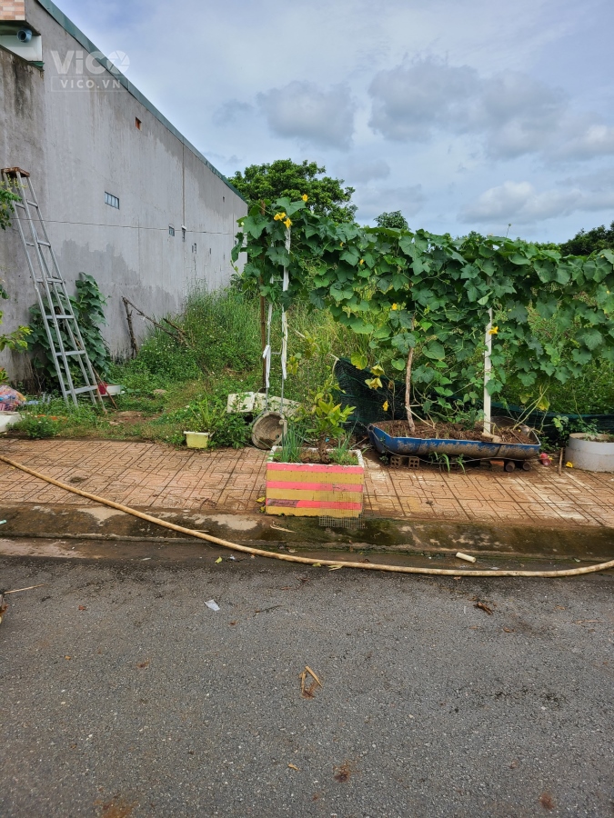 BÁN ĐẤT ĐƯỜNG ĐT769 140M2, THỔ CƯ, SỔ HỒNG RIÊNG, CÁCH SÂN BAY 20P