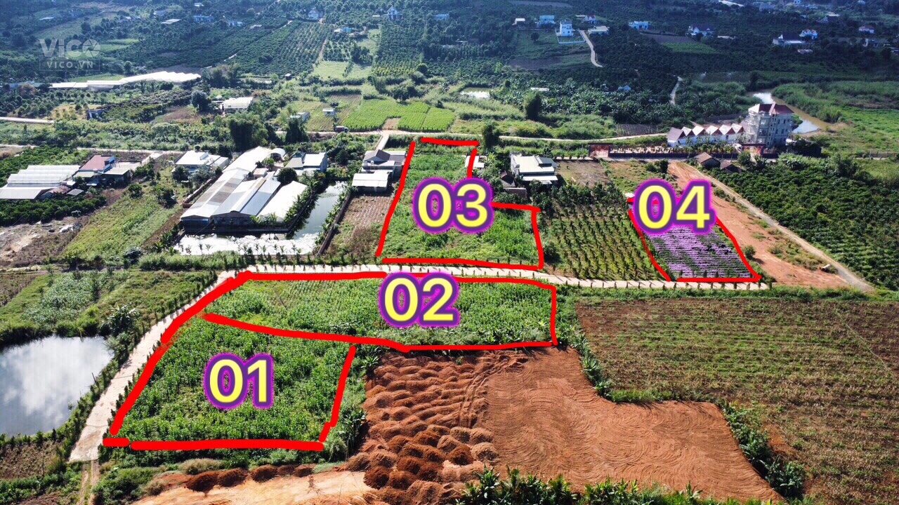 NHÀ ĐẤT GIÁ RẺ , THỊ TRẤN NAM BAN , LÂM HÀ, LÂM ĐỒNG