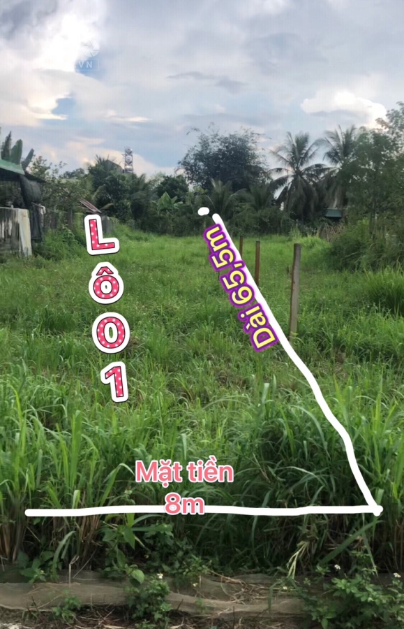 Đất Nền Trung Tâm Thị Trấn Cát Tiên Lâm Đồng ,