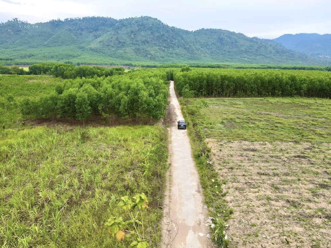 BẮT ĐẤY THỊ TRƯỜNG BĐS KHÁNH HIỆP GIÁ CỰC SỐC