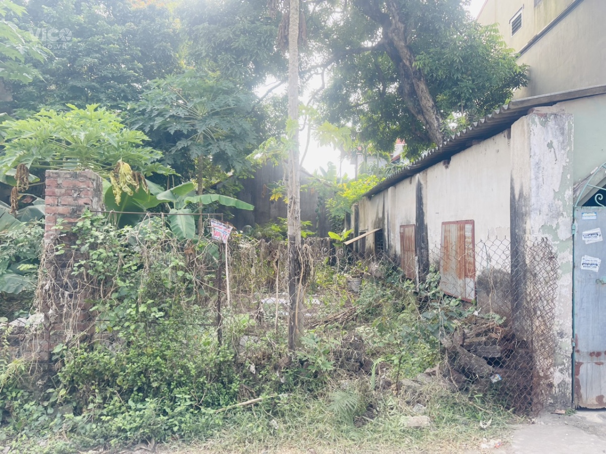 Cần tiền bán nhanh mảnh đất 67,8m2 tại Võng La Đông Anh HN Trục kinh doanh