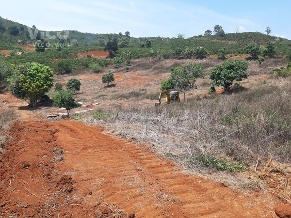 Bán 15800m2 Đất nông nghiệp tại xã Phi Tô Huyện Lâm Hà Tỉnh Lâm Đồng.