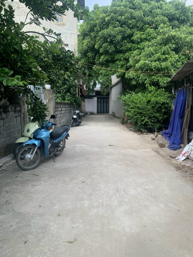 CHÍNH CHỦ CẦN BÁN LÔ ĐẤT TẠI NHỊ KHÊ THƯỜNG TÍN CHỦ CẮT LỖ GIÁ SIÊU RẺ