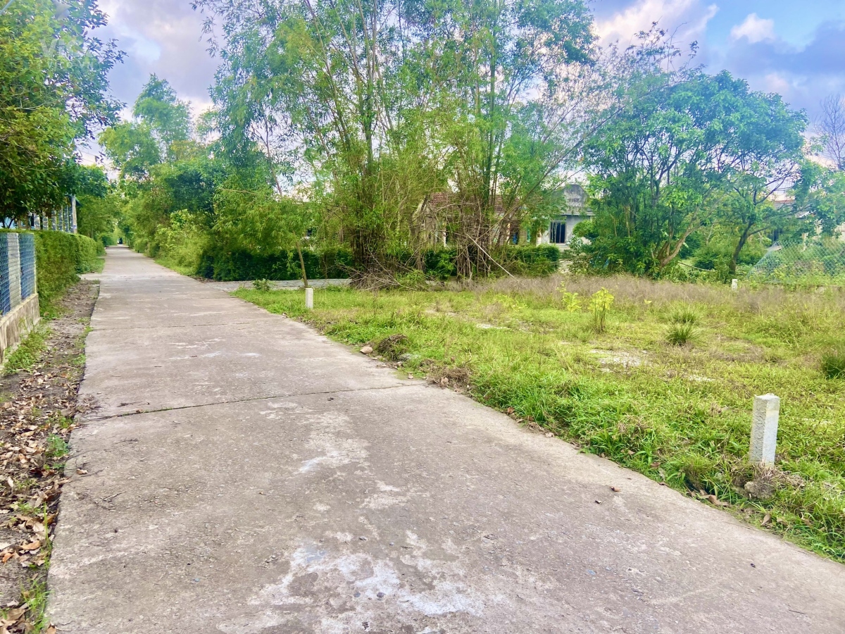 Chỉ 1 lô Phong Chương giá 3xx triệu