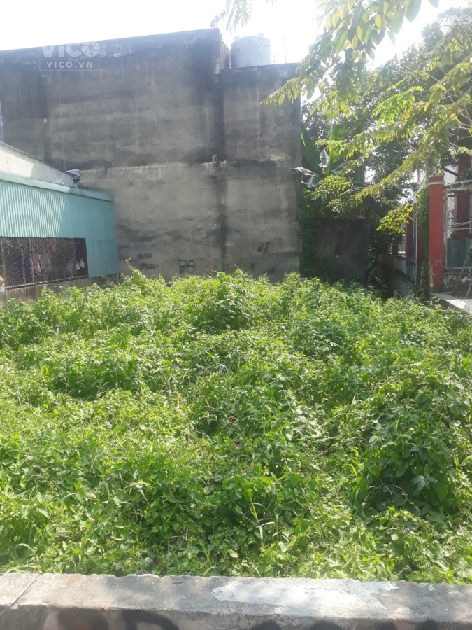 An Phú Đông, Quận 12,đất 200M2, chỉ 34tr/M2. Bao đầu tư.