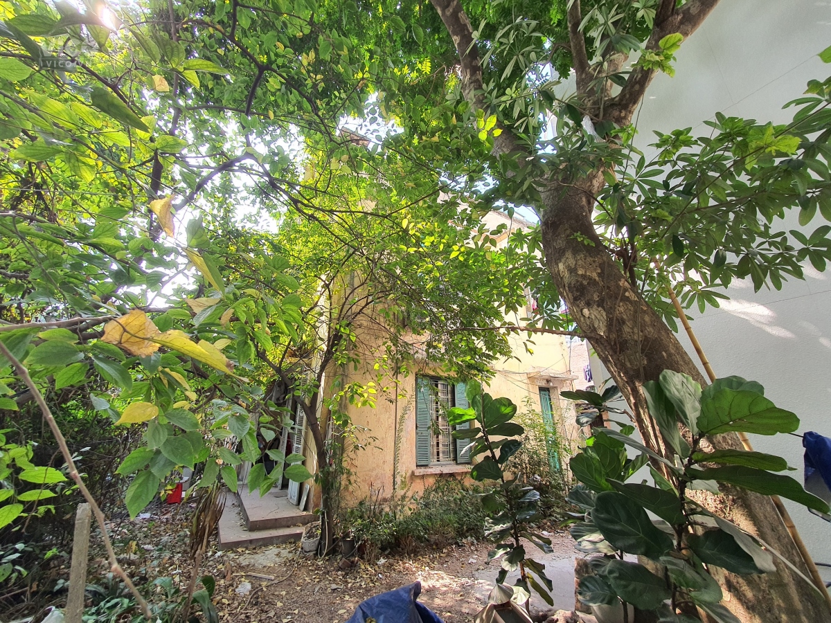 Đất Nguyễn Văn Cừ 145m mặt tiền12m sau nhà mặt phố Giá đầu tư